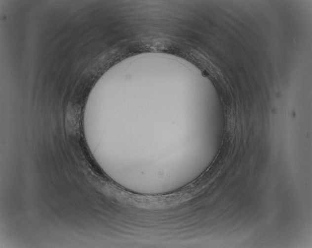 X0000086070030200704091247