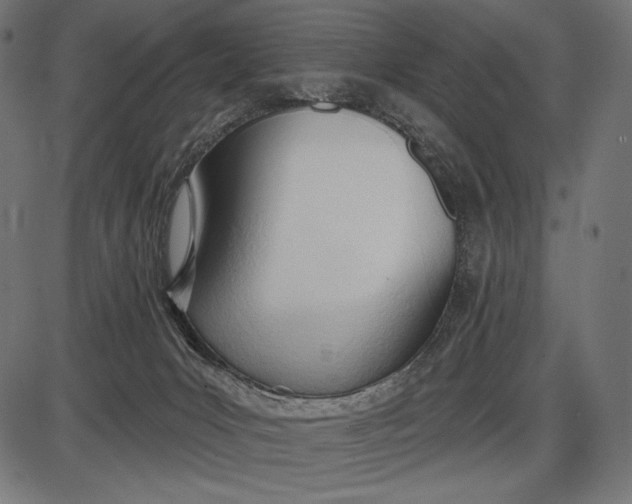 X0000086070031200704091247