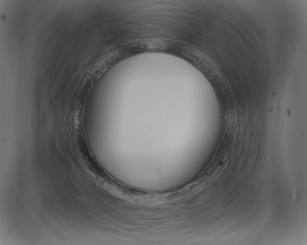 X0000086070032200704091247