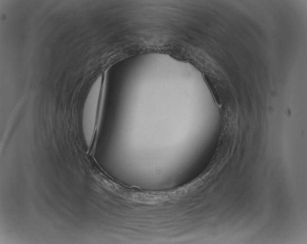 X0000086070033200704091247