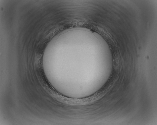 X0000086070034200704091247