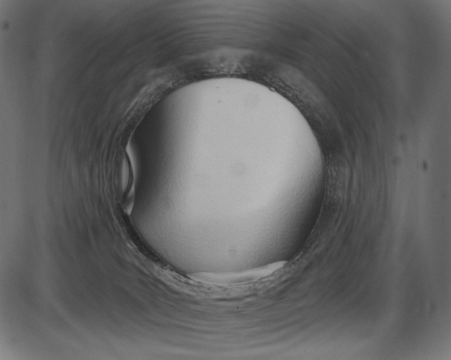 X0000086070035200704091247
