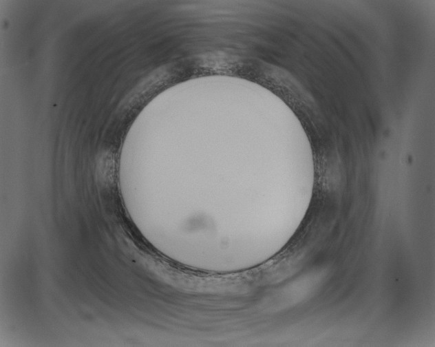 X0000086070036200704091247