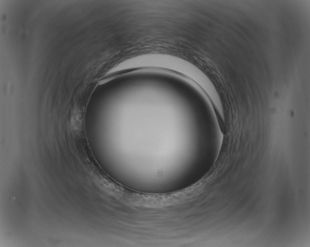 X0000086070037200704091247