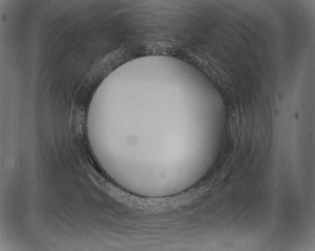 X0000086070038200704091247