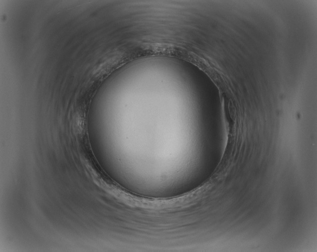 X0000086070039200704091247