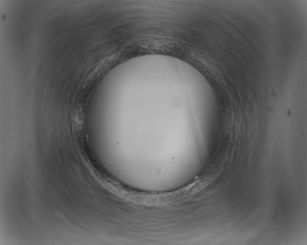 X0000086070040200704091247