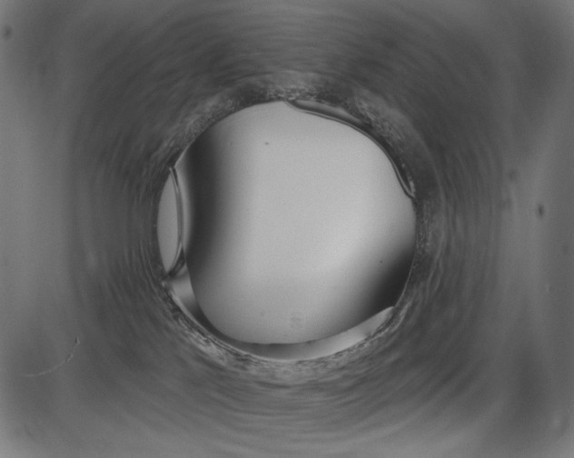 X0000086070041200704091247
