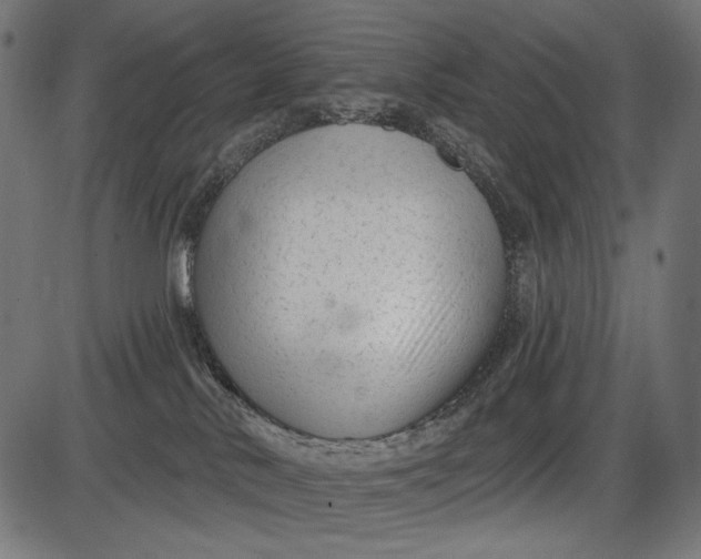 X0000086070042200704091247