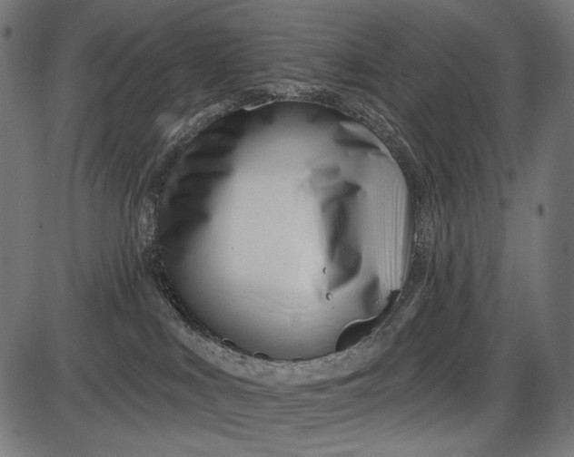 X0000086070043200704091246