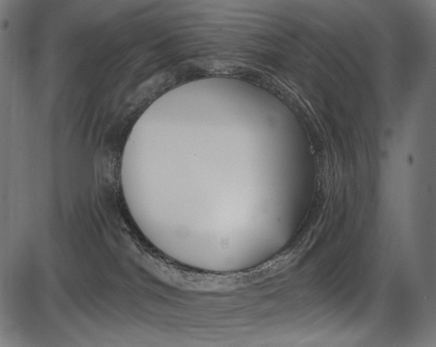 X0000086070044200704091246