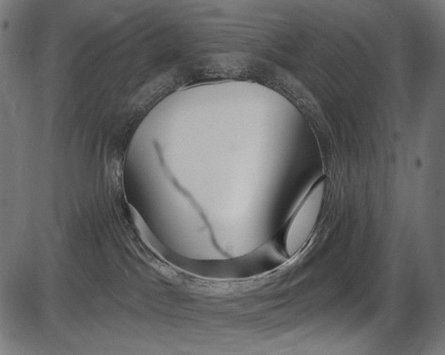 X0000086070045200704091246