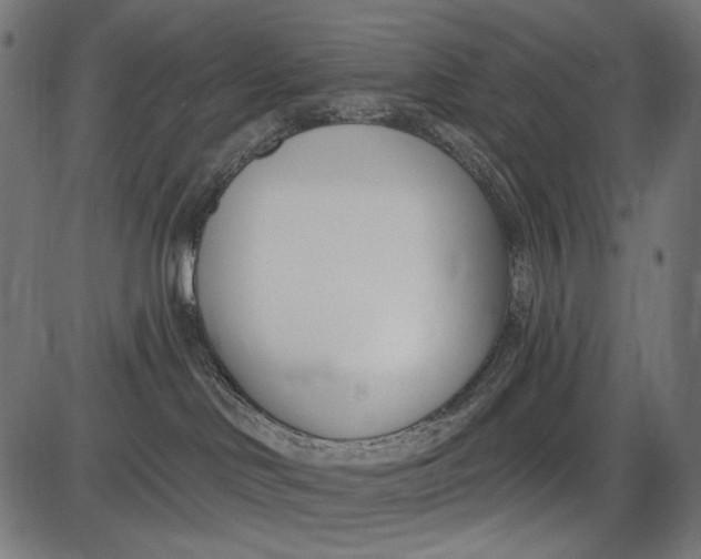 X0000086070046200704091246