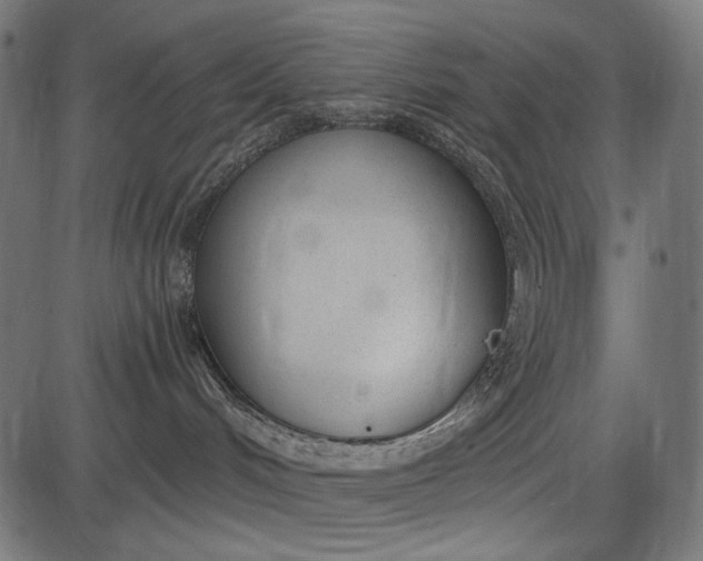 X0000086070048200704091246
