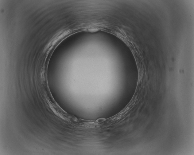 X0000086070050200704091246