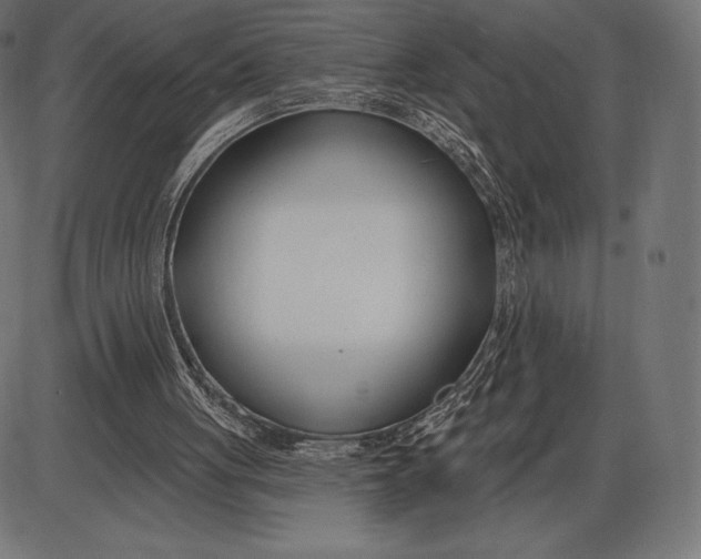X0000086070051200704091246