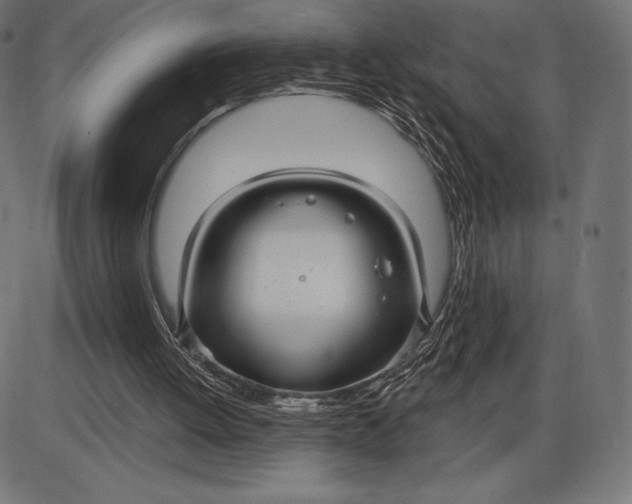 X0000086070052200704091246