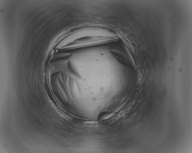 X0000086070053200704091246