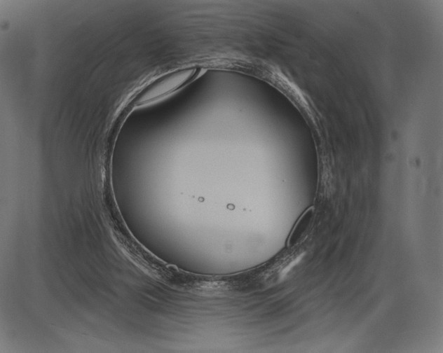 X0000086070059200704091246