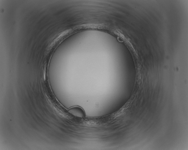 X0000086070062200704091246