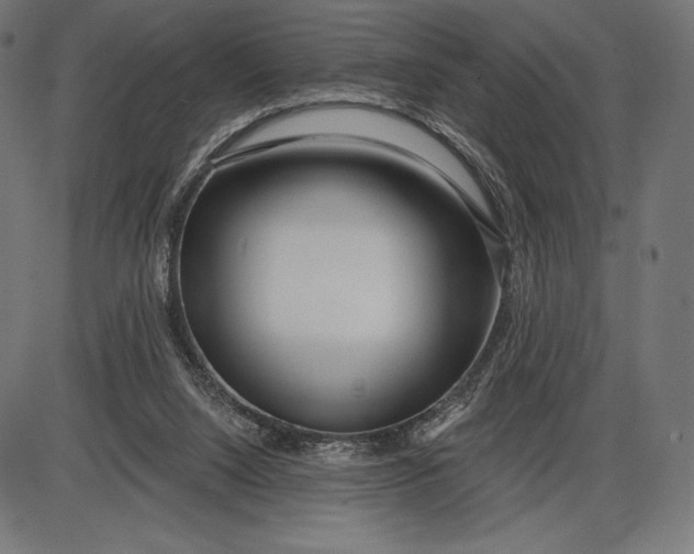 X0000086070064200704091246