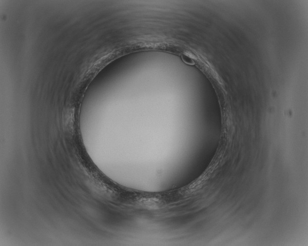 X0000086070066200704091246