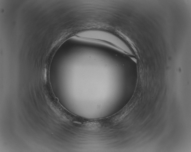 X0000086070067200704091246
