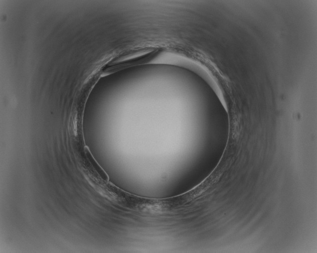 X0000086070068200704091246