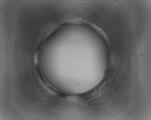 X0000086070069200704091246