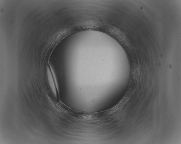X0000086070070200704091246