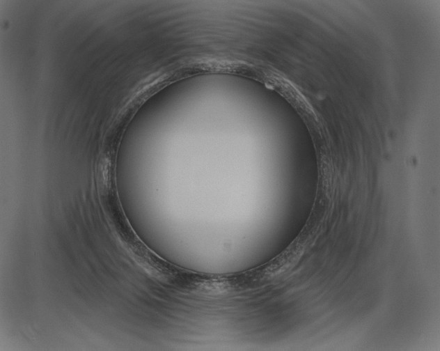 X0000086070071200704091246