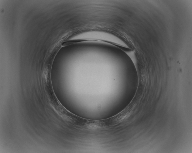 X0000086070072200704091246