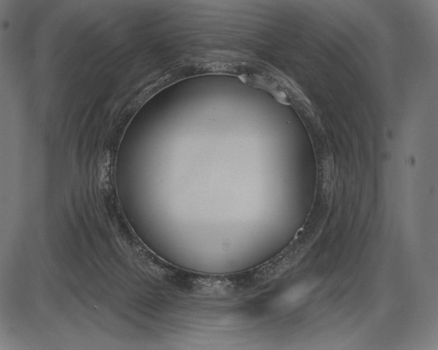 X0000086070073200704091246