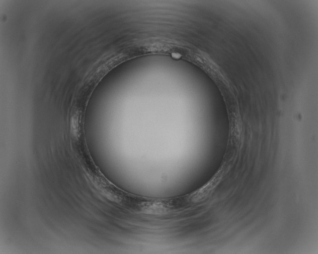 X0000086070074200704091246