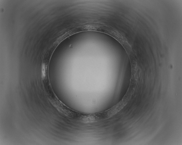 X0000086070075200704091246