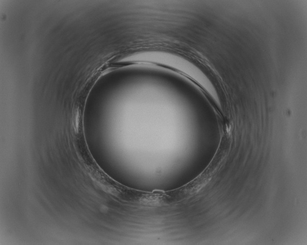 X0000086070076200704091246
