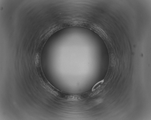 X0000086070077200704091246