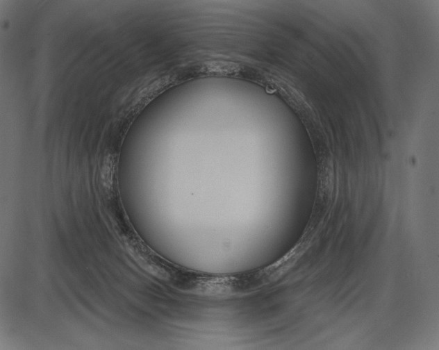 X0000086070078200704091246