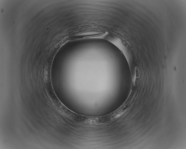 X0000086070080200704091246