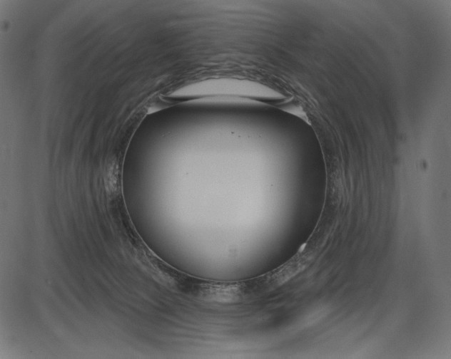 X0000086070081200704091246