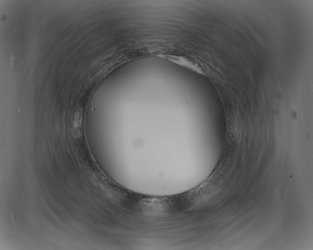 X0000086070082200704091246