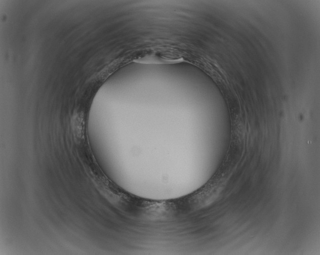 X0000086070083200704091246
