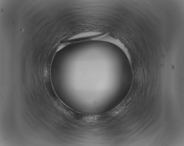X0000086070084200704091246