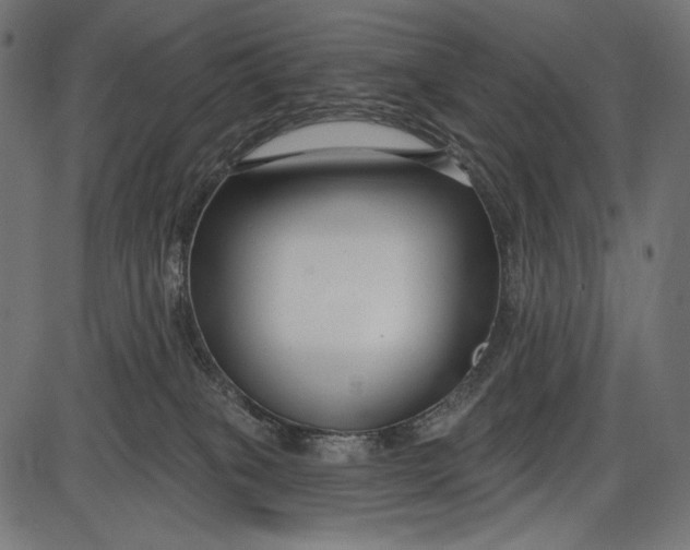 X0000086070085200704091246