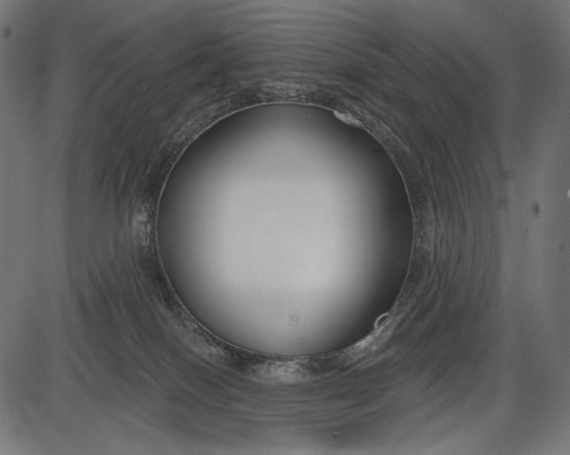 X0000086070086200704091246