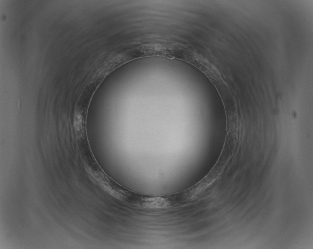 X0000086070087200704091246