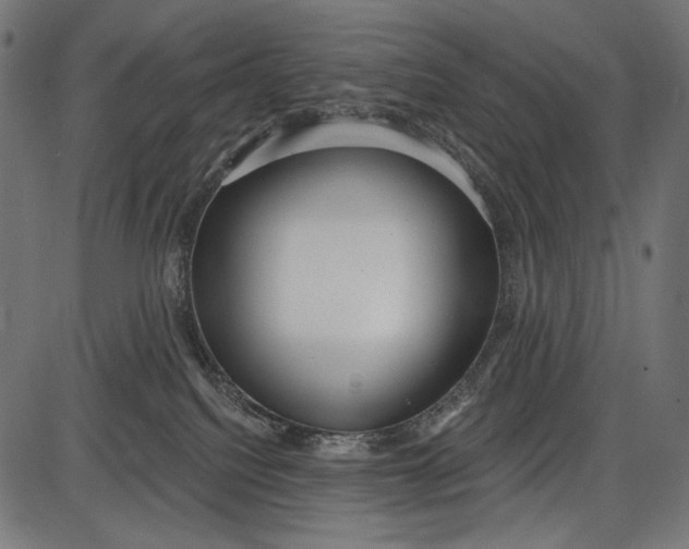 X0000086070088200704091246