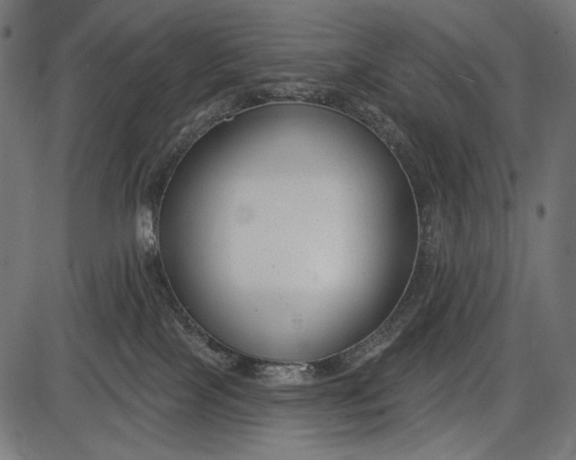 X0000086070089200704091246