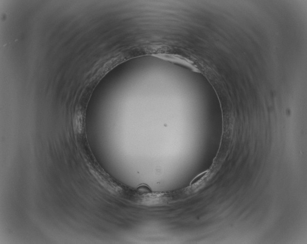 X0000086070090200704091246