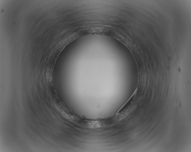 X0000086070091200704091246